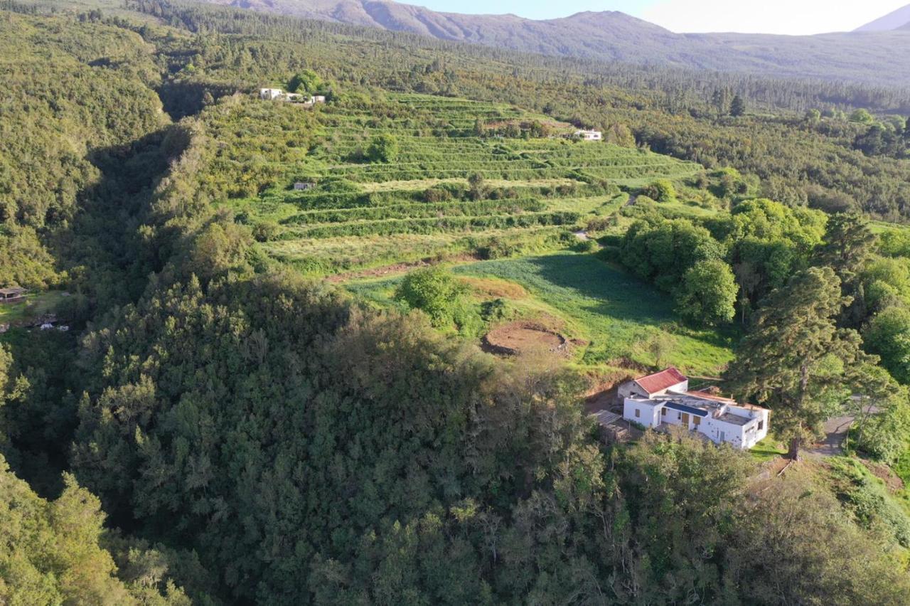 El Pino Centenario 8 La Orotava Dış mekan fotoğraf