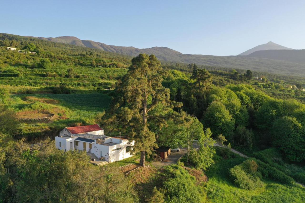 El Pino Centenario 8 La Orotava Dış mekan fotoğraf